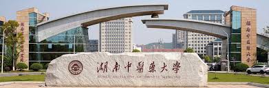 hunan university